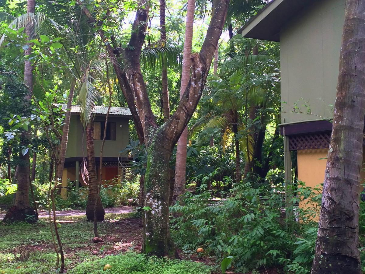 波多巴利亚斯山林小屋 Bahia de Jiquilisco 外观 照片